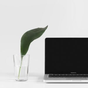 sarah-dorweiler-QeVmJxZOv3k-unsplash-scaled.jpg